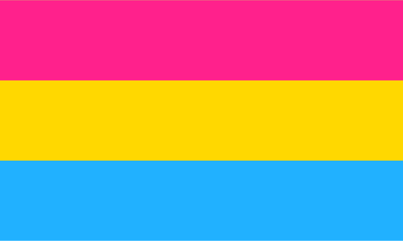 Pansexual Pride Flag Pansexual Pride Flag